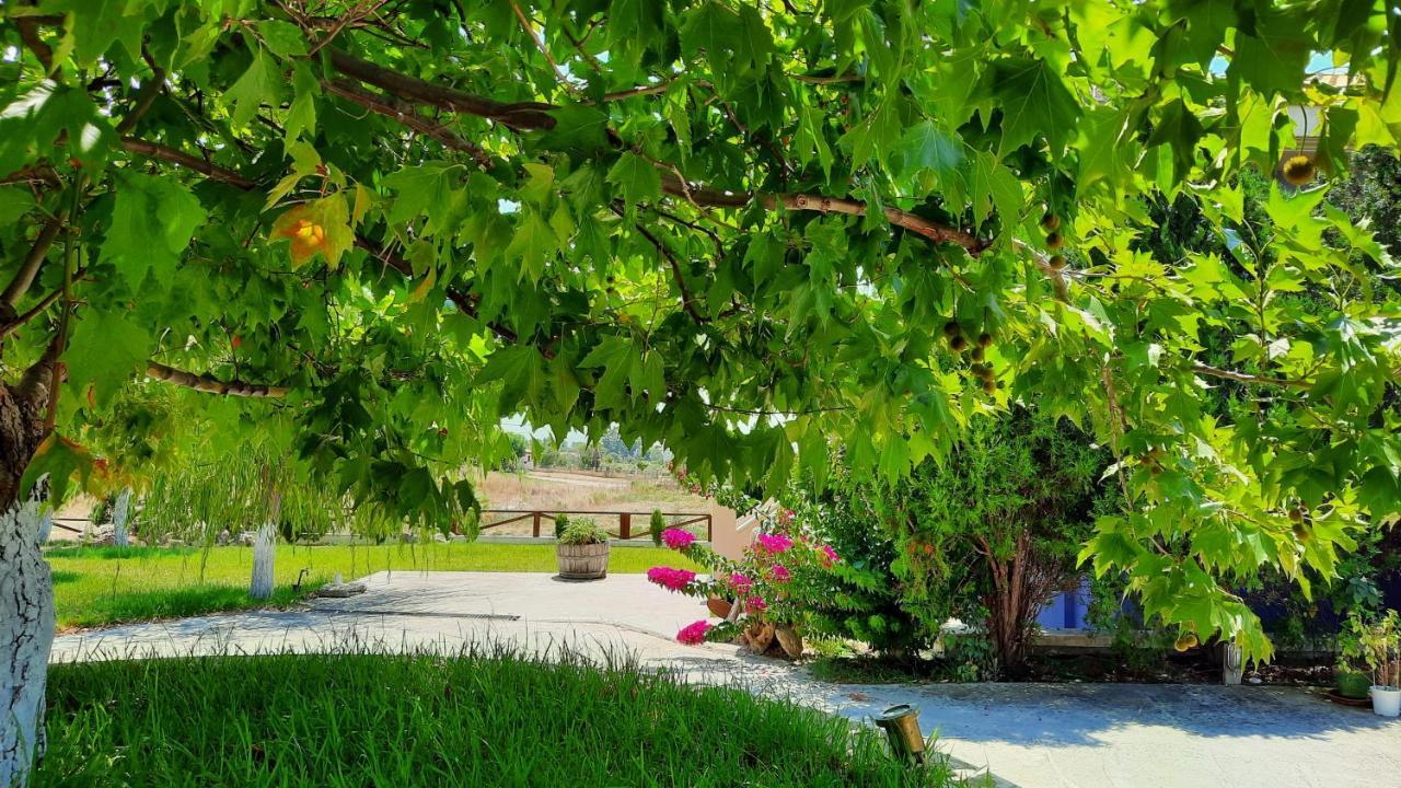 Alekos Beach Houses-Angelo Lixouri Luaran gambar